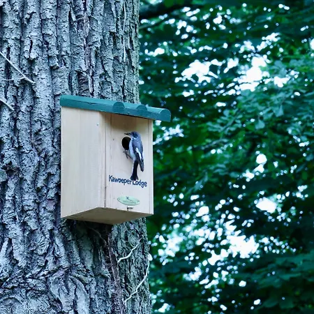 Veluws Kawoeper Holiday home *