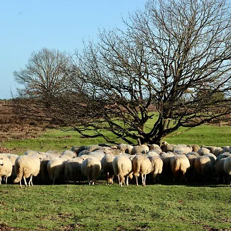 Holiday home Veluws Kawoeper