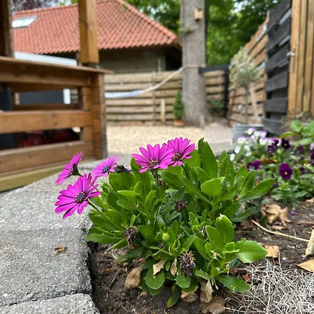 Veluws Kawoeper بيت للعطل *