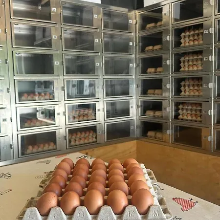 Holiday home Veluws Kawoeper