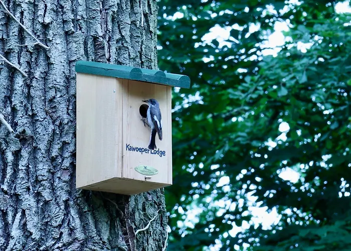 Veluws Kawoeper בית נופש *