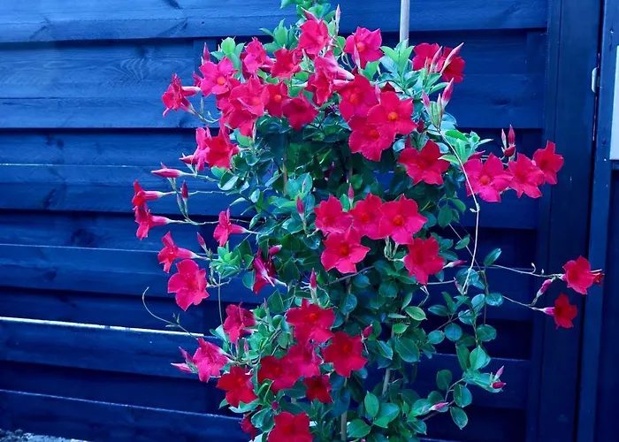 Veluws Kawoeper Feriehus *