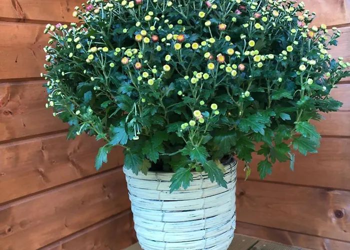 Holiday home Veluws Kawoeper