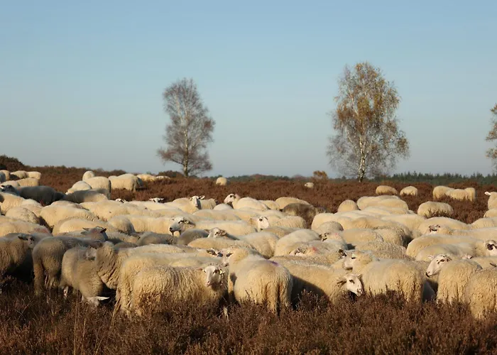 Feriehus Veluws Kawoeper *