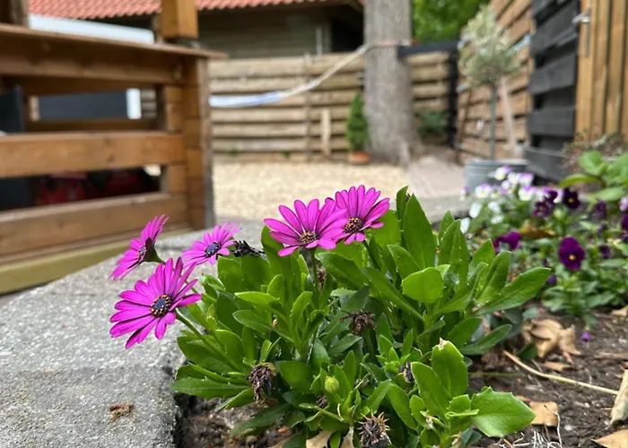 Veluws Kawoeper Feriehus *