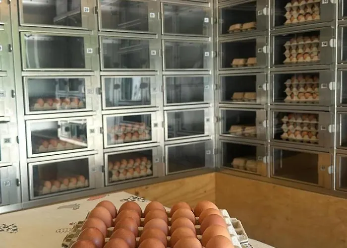 Feriehus Veluws Kawoeper