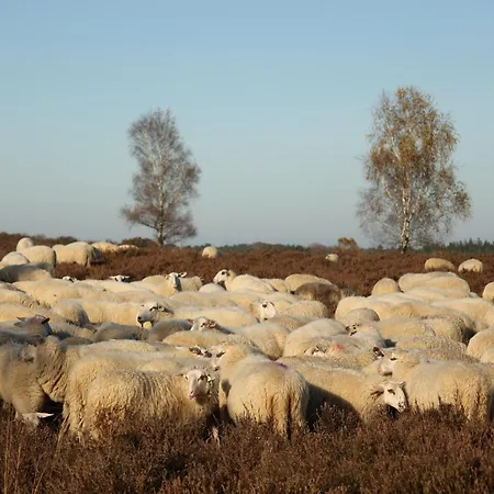 別荘 Veluws Kawoeper *